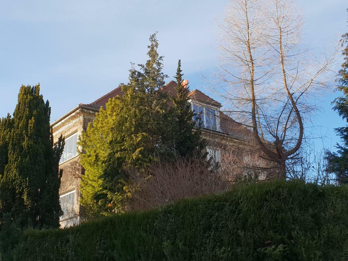 Ferienwohnung Mit Flair Drezda Kültér fotó